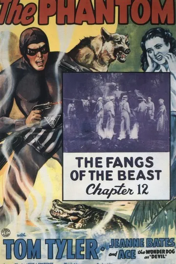 Постер сериала Фантом