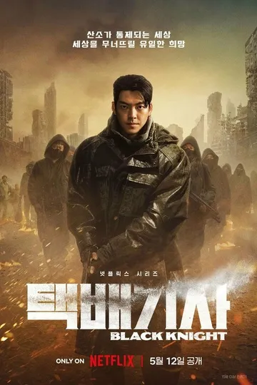 Постер сериала Чёрный рыцарь