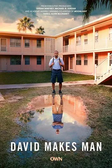 Постер сериала Дэвид становится мужчиной