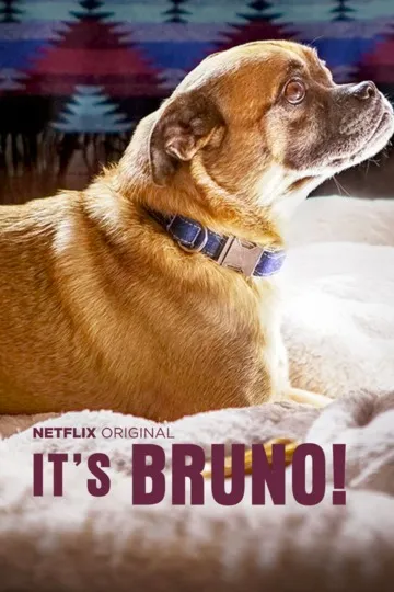 Постер сериала Это Бруно!