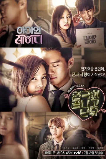 Постер сериала Когда кончается шоу "Железная леди"