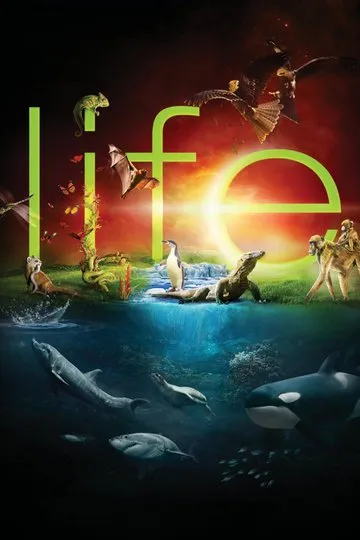 Постер сериала BBC: Жизнь