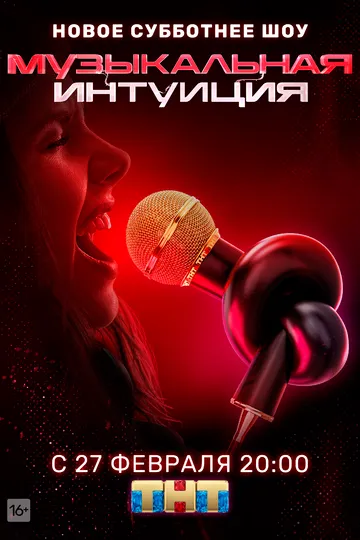Постер сериала Музыкальная интуиция