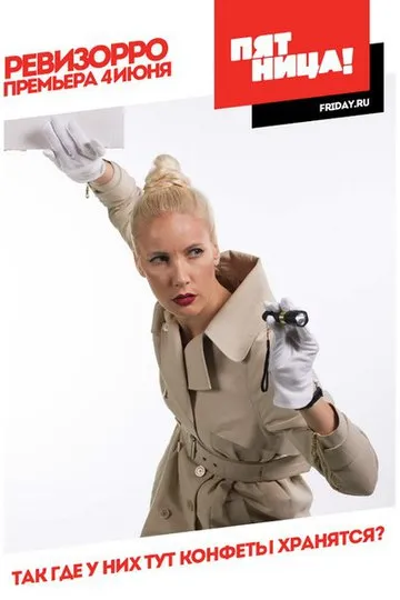 Постер сериала Ревизорро