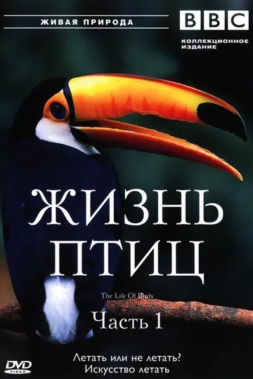 Постер сериала BBC: Жизнь птиц
