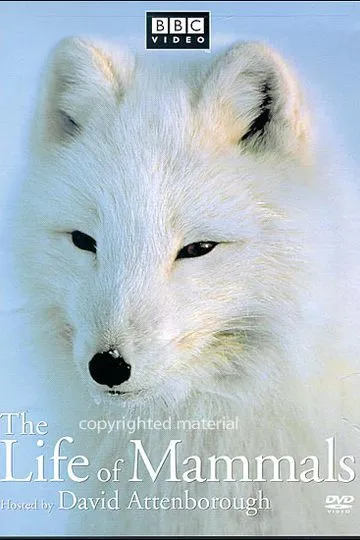 Постер сериала BBC: Жизнь млекопитающих