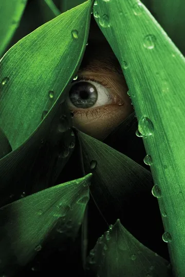 Постер сериала Река