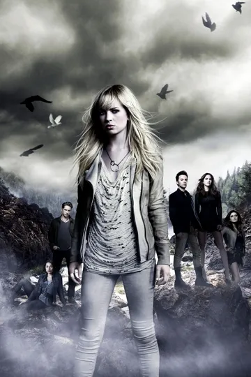 Постер сериала Тайный круг