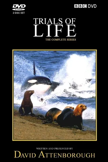 Постер сериала BBC: Борьба за выживание